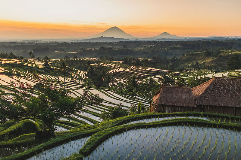 Places to see in West Bali